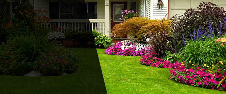 Boaz Landscapers