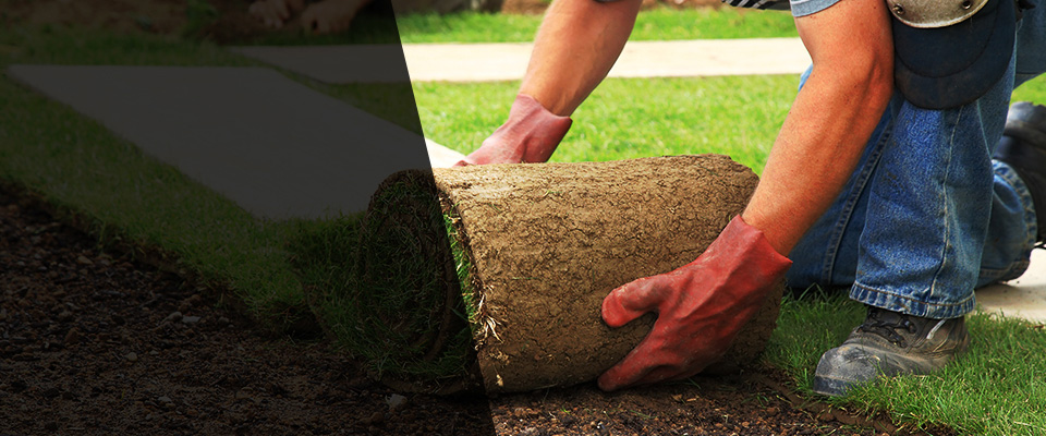 Boaz Landscapers